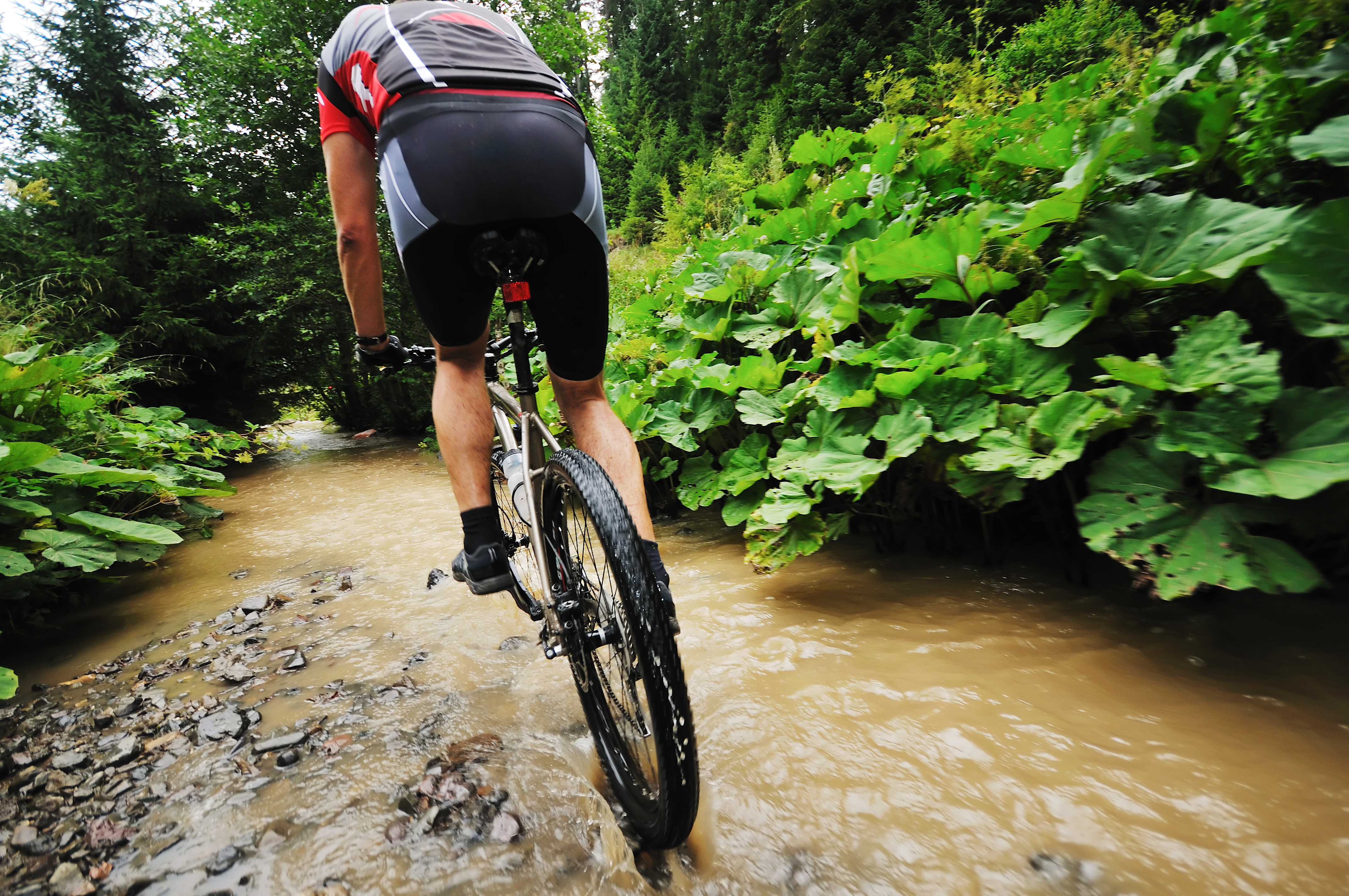 Mountain Bike Test