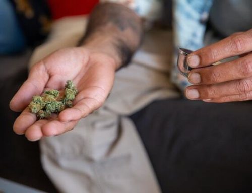 Cannabis Legalisierung – das gilt es zu beachten